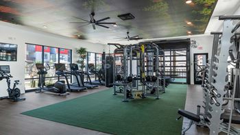A gym with cardio machines and weights on a green rug